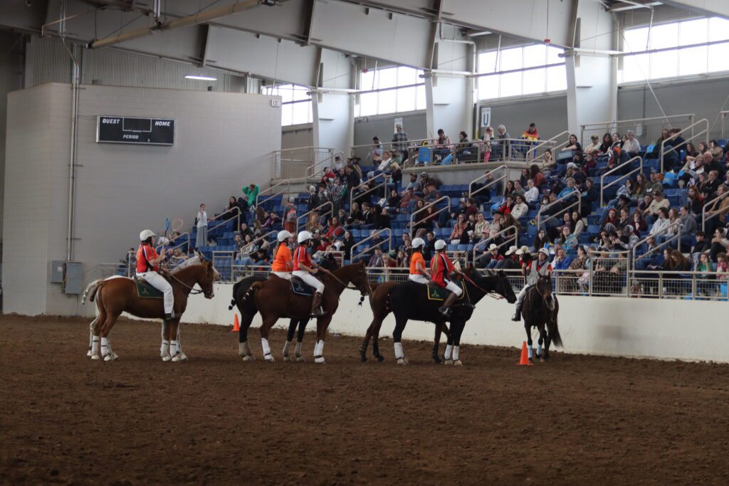 Recap of Horse World Expo Demonstrations